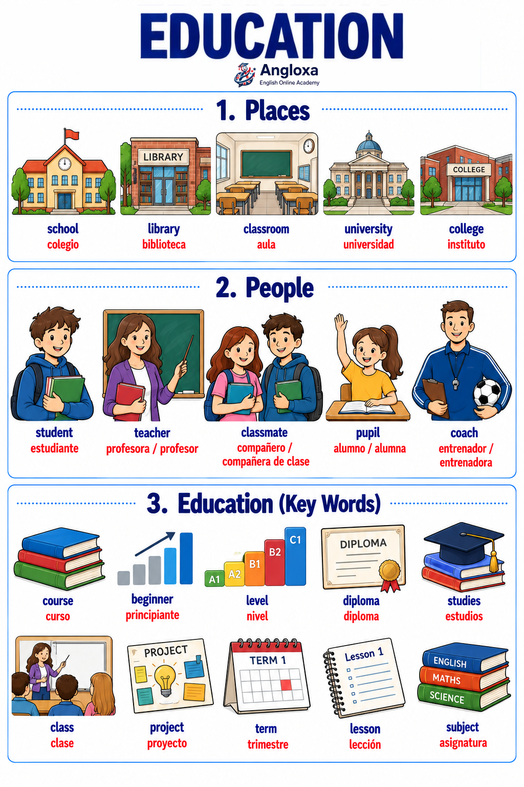 Infographic: Education Vocabulary in English (A2)