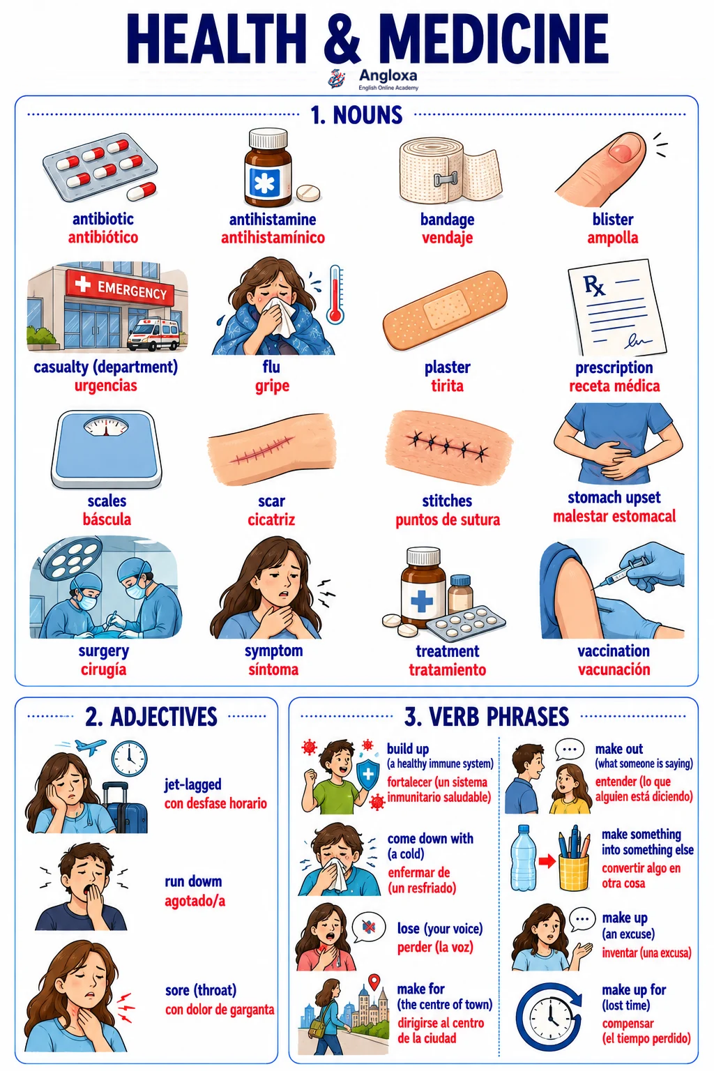 Infographic: Health and Medicine Vocabulary in English (B2)